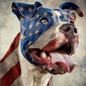 Meet your Posher, Tammie pemberton